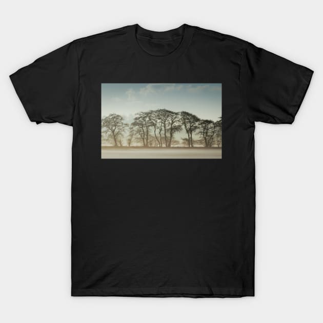 Winter Treeline T-Shirt by jldunbar